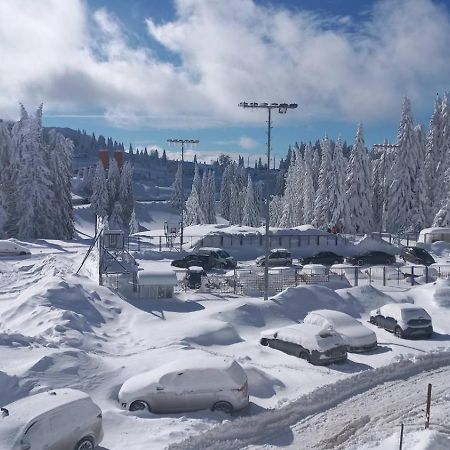 Sunny Mountain Apartments - Kopaonik, Serbia, Hotel Suncana Planina Eksteriør billede